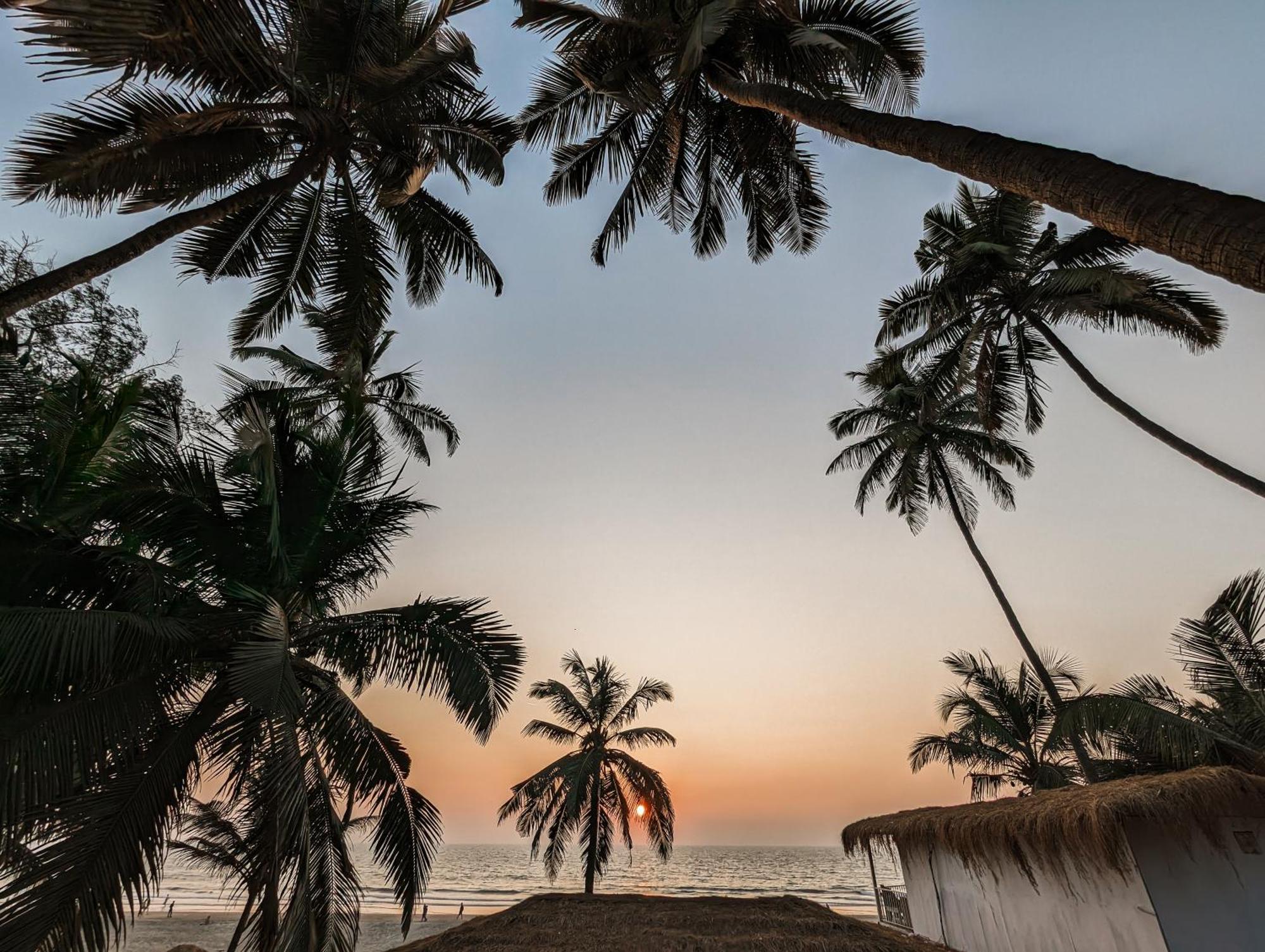 Aqua Beach Stays Ashwem Mandrem Bagian luar foto